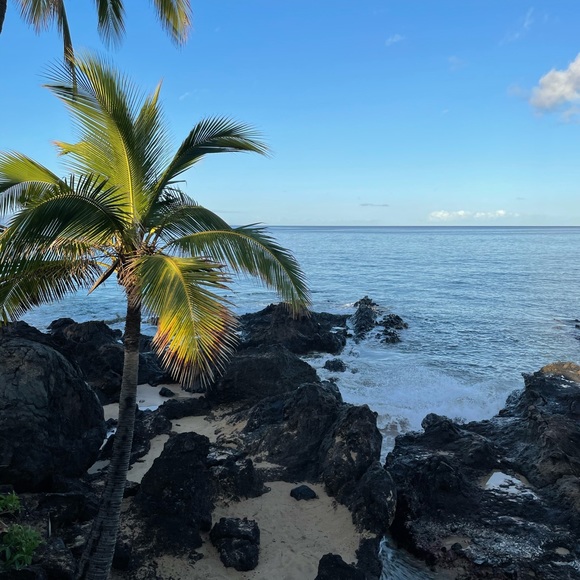 Meet your Posher, Jenni - Picture 1 of 2